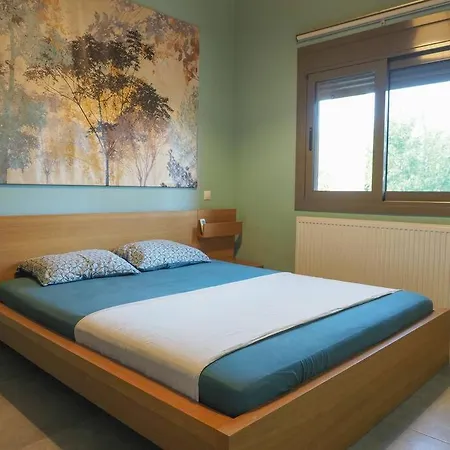 Beautiful House, Salamina Villa Kaki Vigla Exterior photo